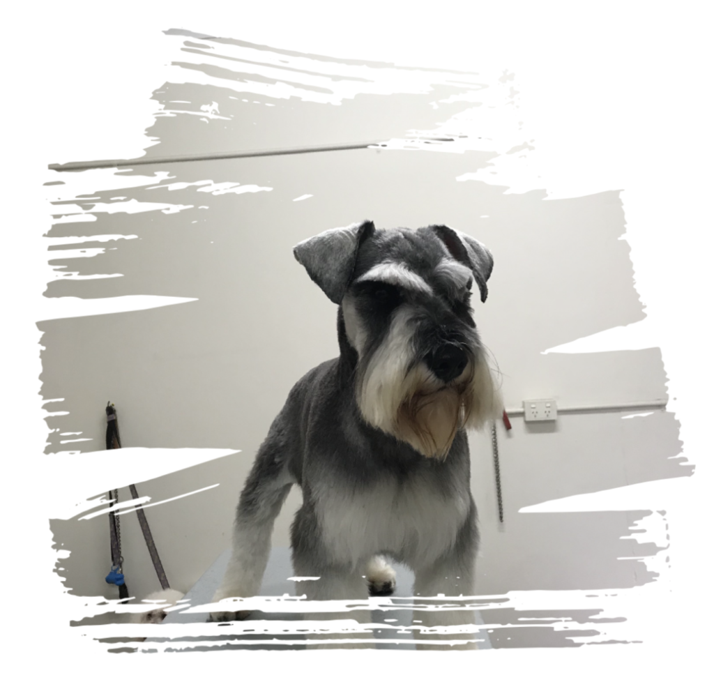 screen shot 2021 04 18 at 4.27.31 pm 1024x968